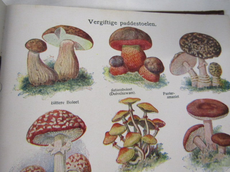 Oud Boek: De Nieuwe Natuurgeneeswijze