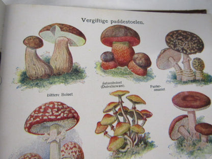 Oud Boek: De Nieuwe Natuurgeneeswijze