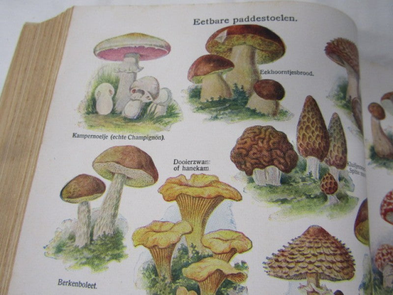 Oud Boek: De Nieuwe Natuurgeneeswijze