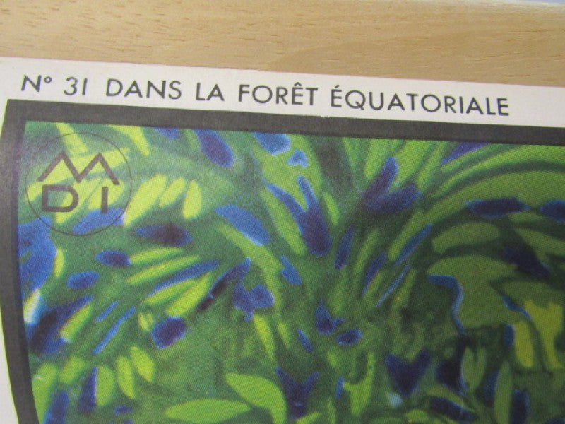 2-Zijdige Schoolkaart: N°32 Dans la Rizière + N°31 Dans la Equatoriale