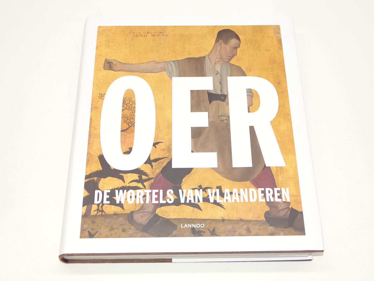 Boek: Oer, De Wortels Van Vlaanderen, 2017