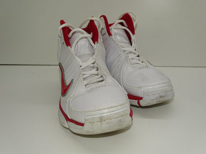 Schoenen: Nike Air Dual-D, 2006, Dirk Nowitzki