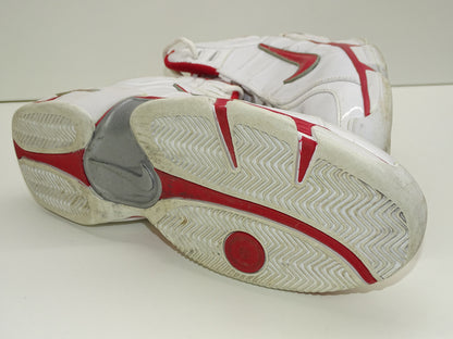 Schoenen: Nike Air Dual-D, 2006, Dirk Nowitzki