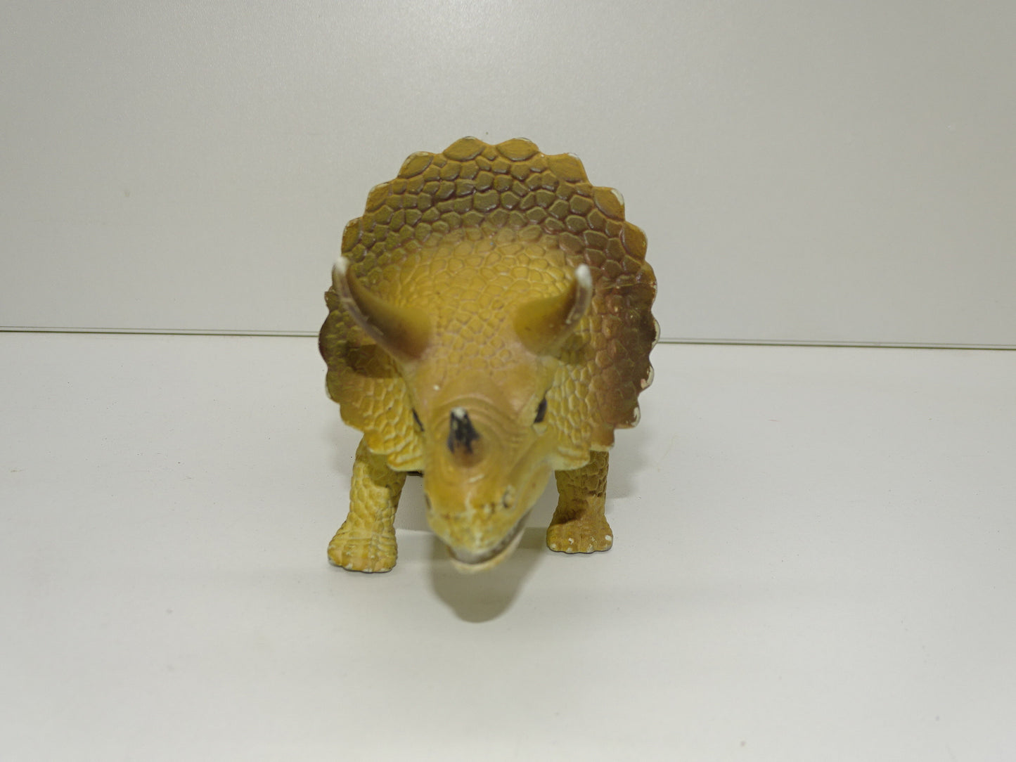 Dinosaurus: Triceratops