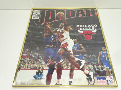 Poster : Chicago Bulls, Michael Jordan, O Neal, 1995