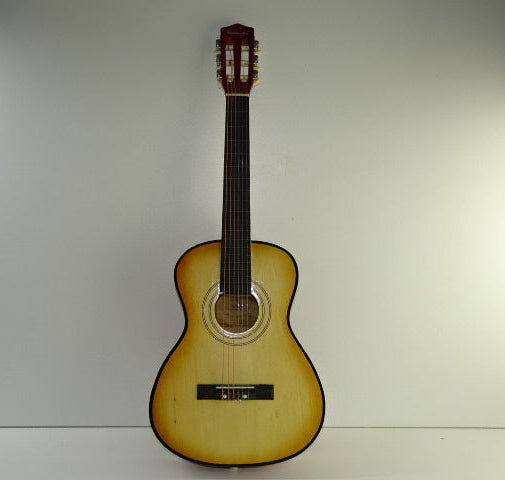 Akoestische Gitaar AG-34S