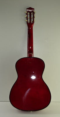 Akoestische Gitaar AG-34S