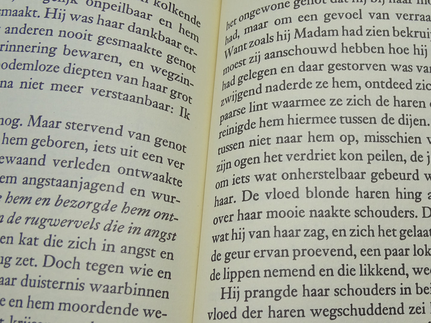 Boek: Zomerdagdroom, Louis Paul Boon, 1988