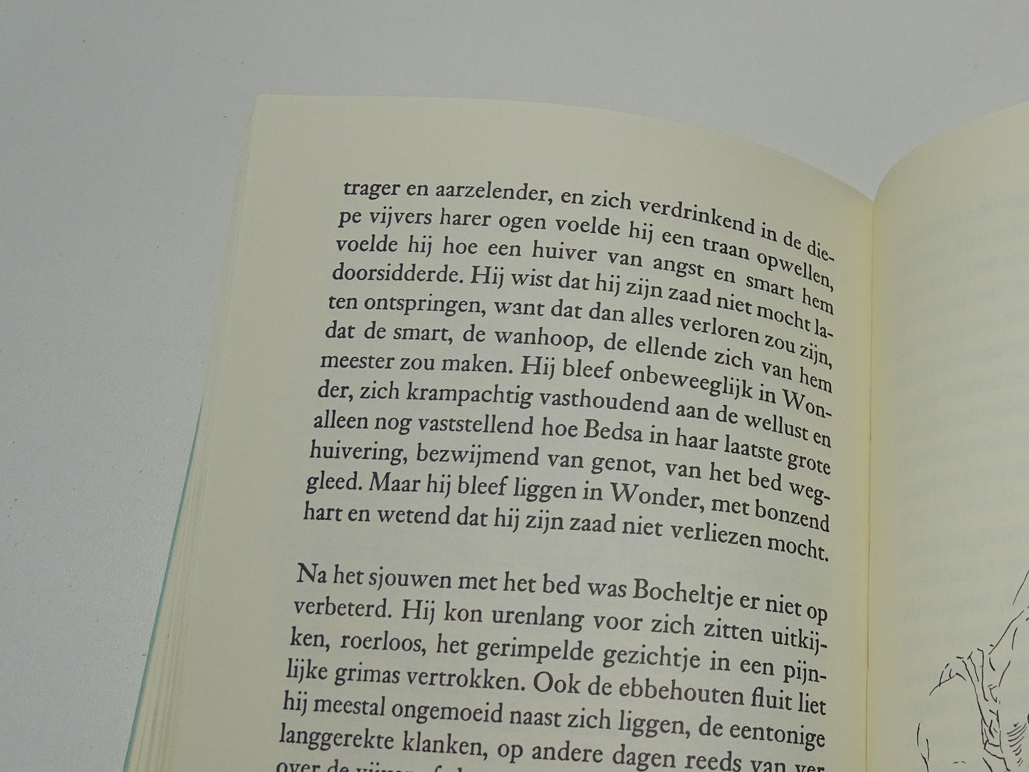 Boek: Zomerdagdroom, Louis Paul Boon, 1988