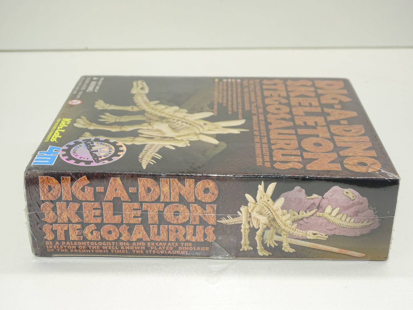 Nieuwe Speldoos: Dig-A-Dino Skeleton, Stegosaurus