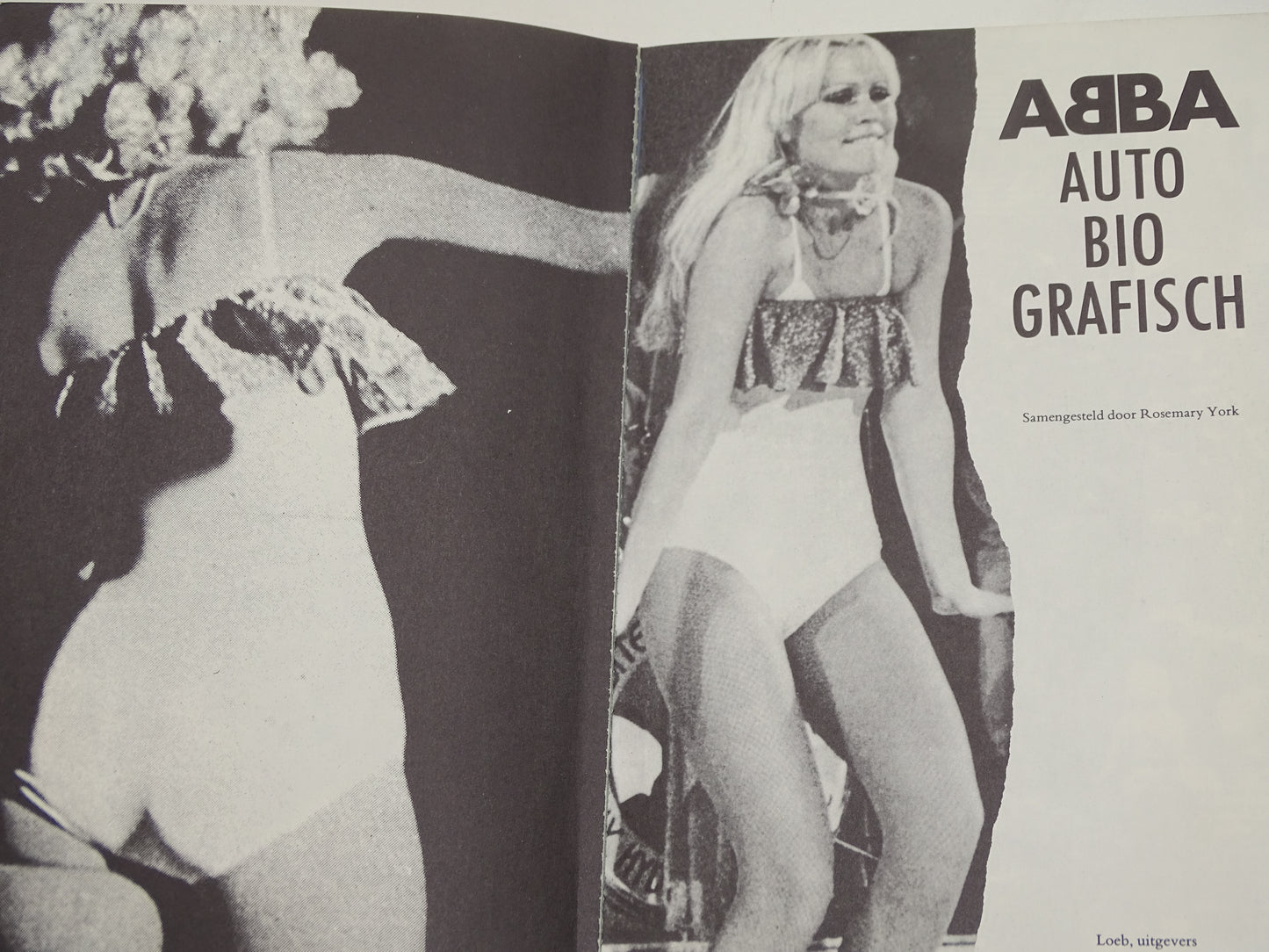 Boek: ABBA Autobiografisch, 1982