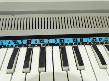 Retro Werkend Rietorgel: Bontempi B3