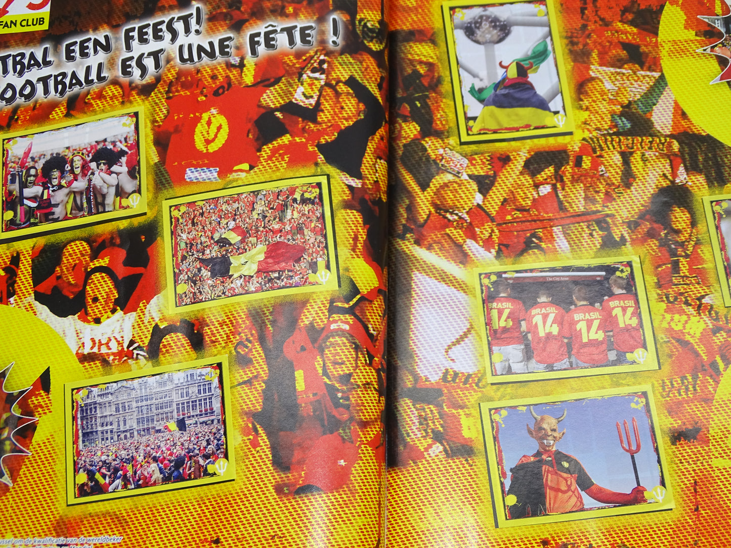 Stickerboek: Panini, Rode Duivels, WK 2014 Brazilië