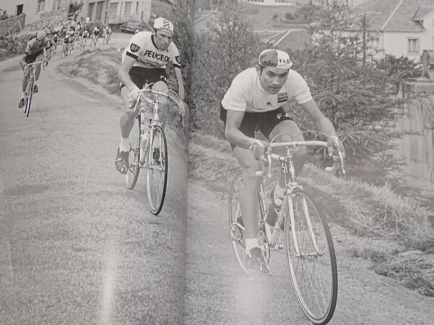 Boek: 50 Jaar Eddy Merckx, Jubileum Van Een Tourlegende, 2019