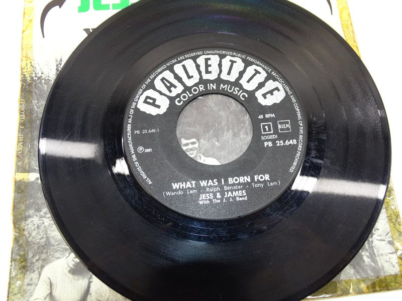 Single, Jess & James: What I Was Born For, 1967