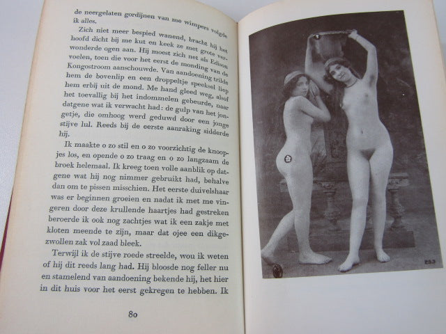 Boek: Mieke Maaikes Obscene Jeugd, Louis Paul Boon, 1975