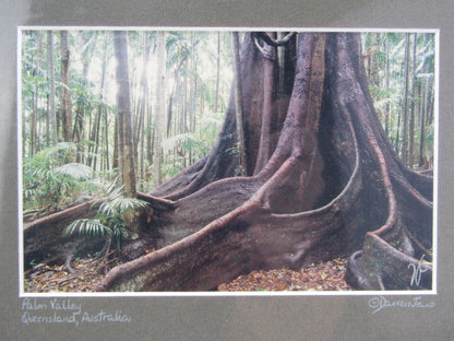 Gesigneerde Foto: Darren Jew, Palm Valley Queensland, Australia