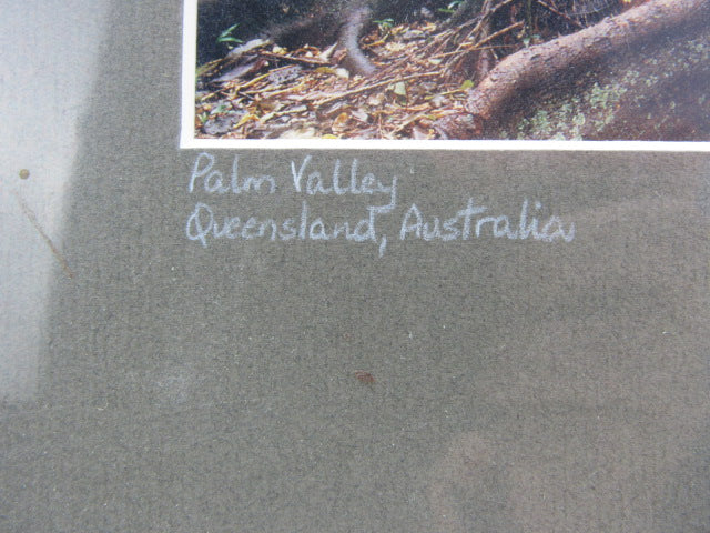 Gesigneerde Foto: Darren Jew, Palm Valley Queensland, Australia