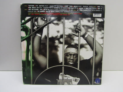 Dubbel LP, Erick Sermon, Music, 2001