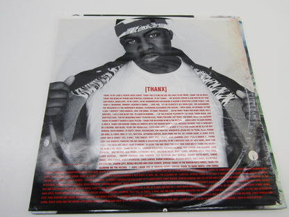 Dubbel LP, Erick Sermon, Music, 2001