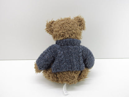 Teddybeer: Blauwe Trui