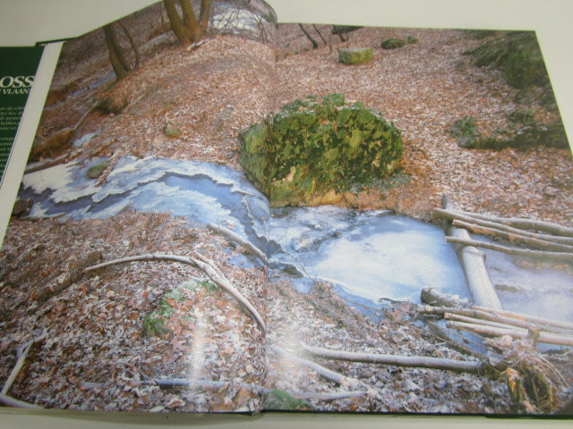 Boek: Bossen Van Vlaanderen, 1993