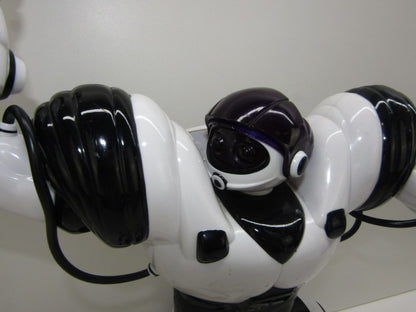 Robot: Wowwee Robosapien, 2004