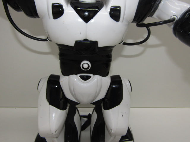 Robot: Wowwee Robosapien, 2004