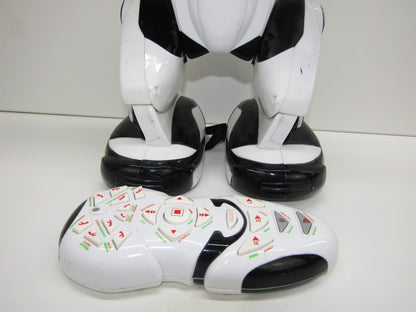 Robot: Wowwee Robosapien, 2004