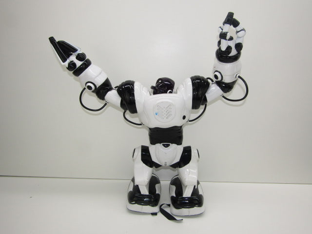 Robot: Wowwee Robosapien, 2004