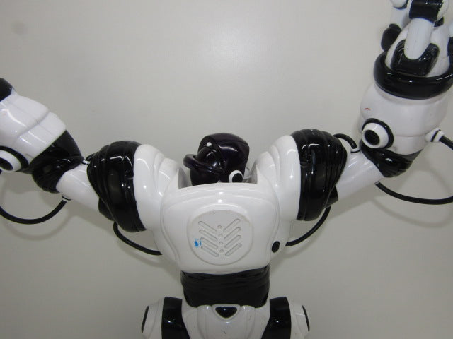 Robot: Wowwee Robosapien, 2004