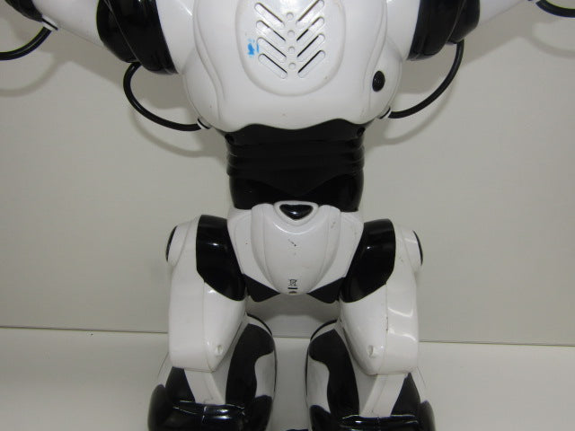 Robot: Wowwee Robosapien, 2004