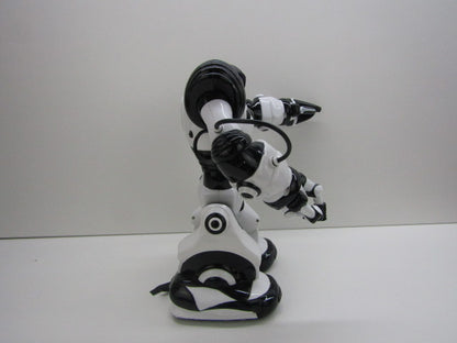 Robot: Wowwee Robosapien, 2004