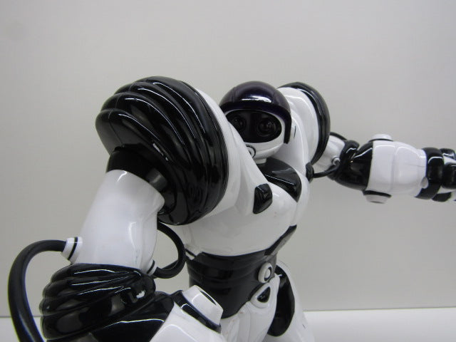 Robot: Wowwee Robosapien, 2004