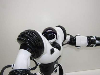 Robot: Wowwee Robosapien, 2004