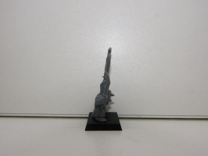 Warhammer 40K Figuur: Night Goblin Command Standard Bearer(Maan, Zwaard Hoog), 2005