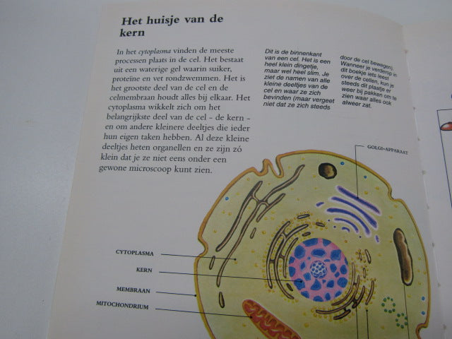 Volledige Reeks: Zo Werkt Je Lichaam, Deagostini, 1993